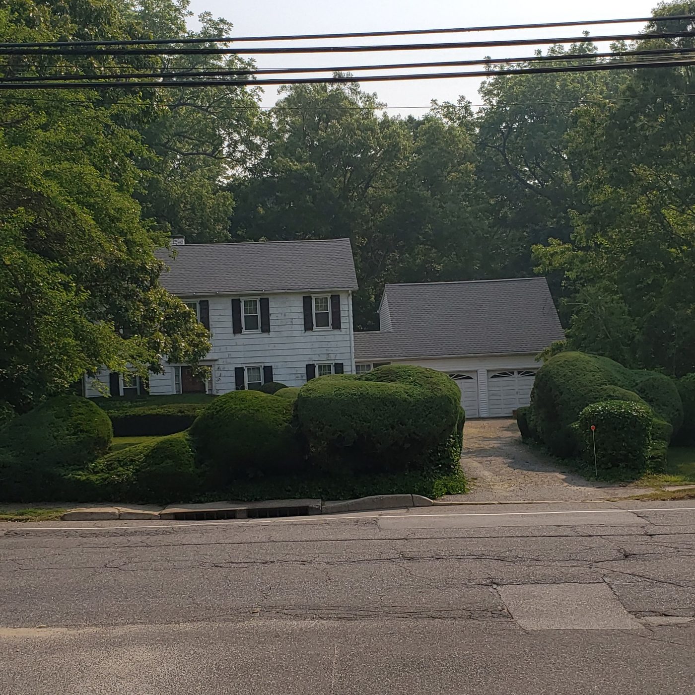Front property with neatly shaped shrubs and driveway hedges