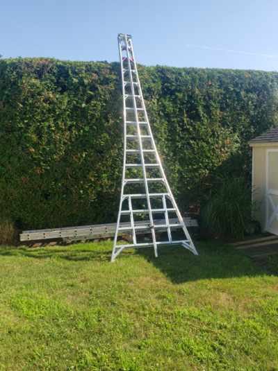Tall ladder placed in front of a privacy hedge