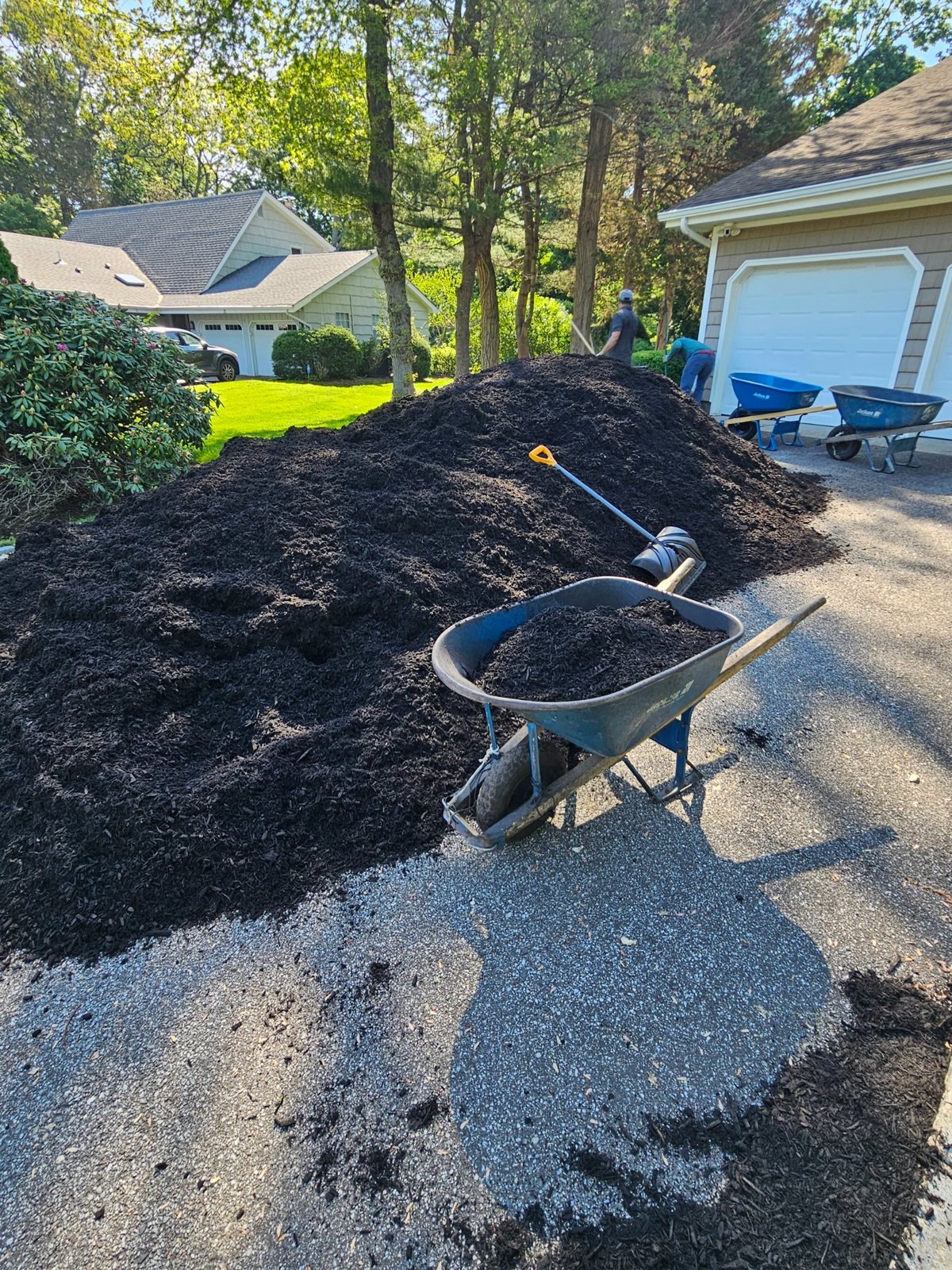 Large mulch pile with wheelbarrow ready for spreading